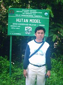 hutan model