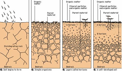 soil is formed